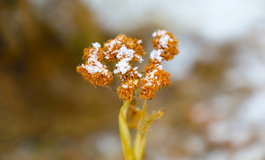 1550631672704903.png 10.png