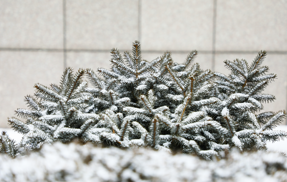 1550631885127998.png 8.png