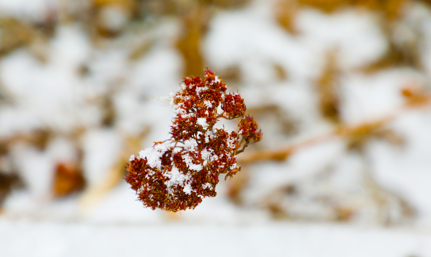 1550632320552398.png 13.png