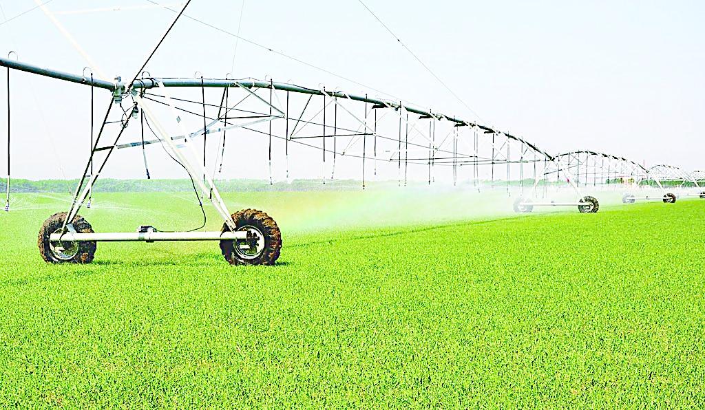 1553572597547192.jpg _1024.jpg