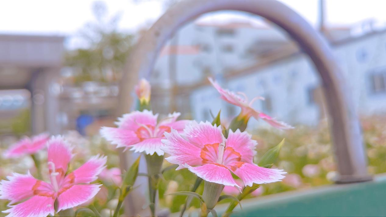 1624452073418570.png 1624452073418570.png