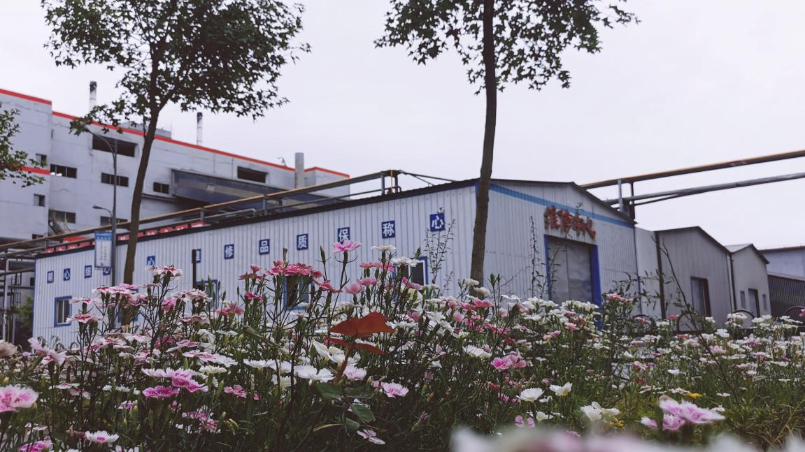 1624452139645175.png 1624452139645175.png