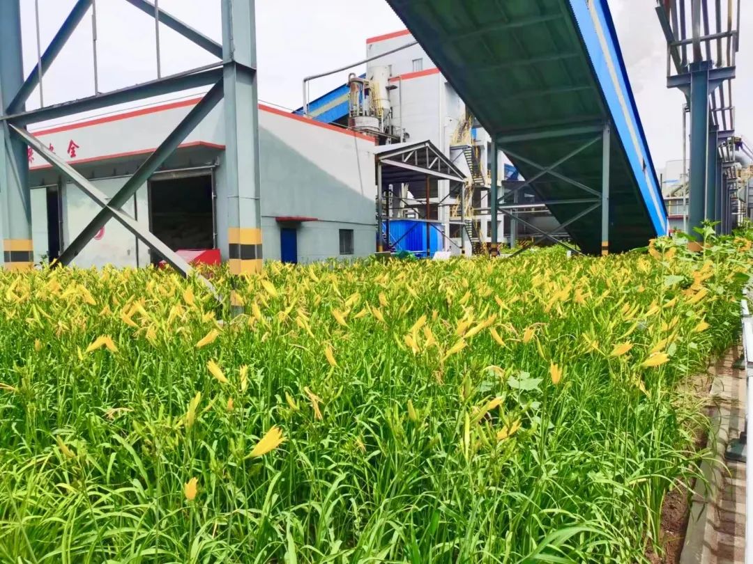 1657065771116934.jpg 1.jpg