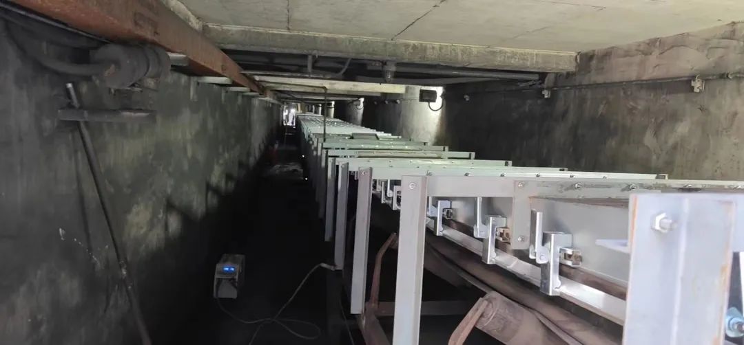 1657499568119619.jpg 2.jpg