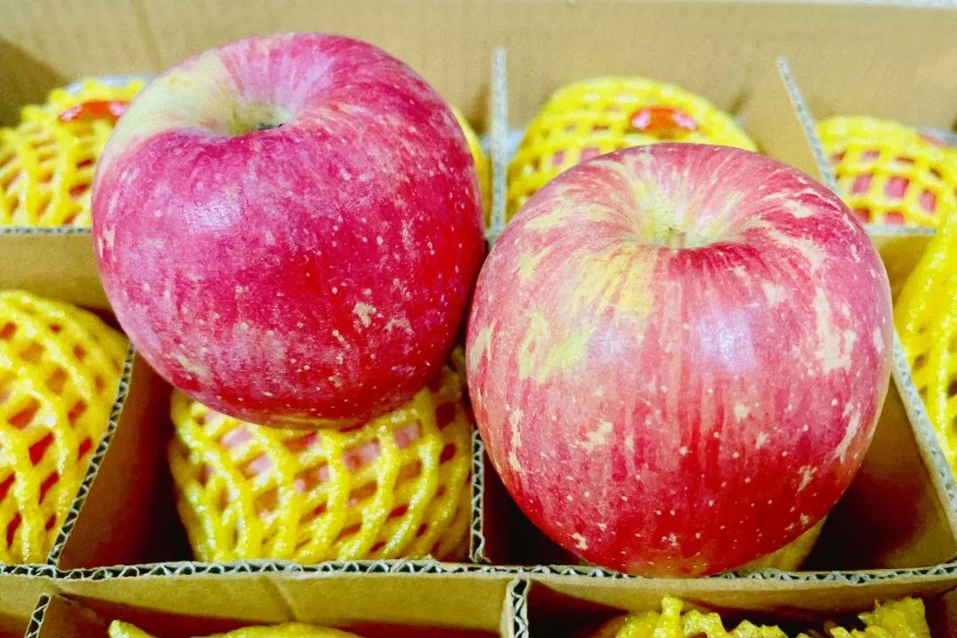 1672099569618407.jpg 微信圖片_20221227080423.jpg