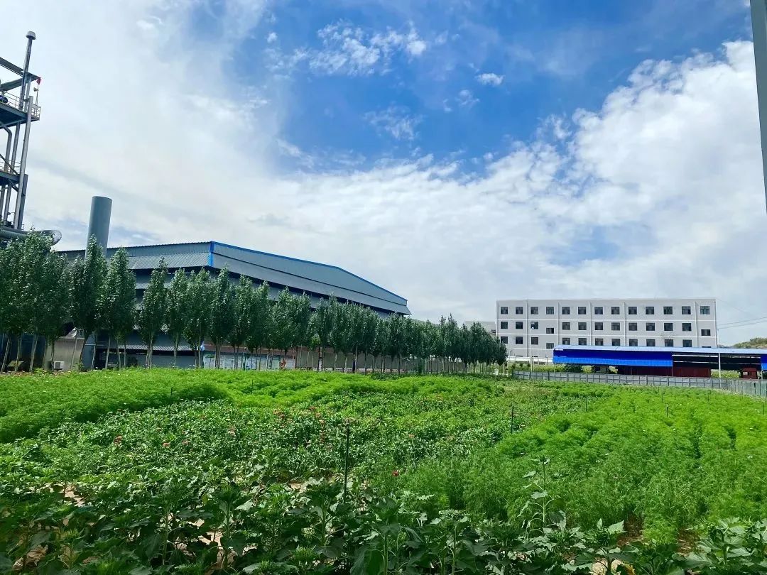 1673569334817447.jpg 微信圖片_20230113082040.jpg