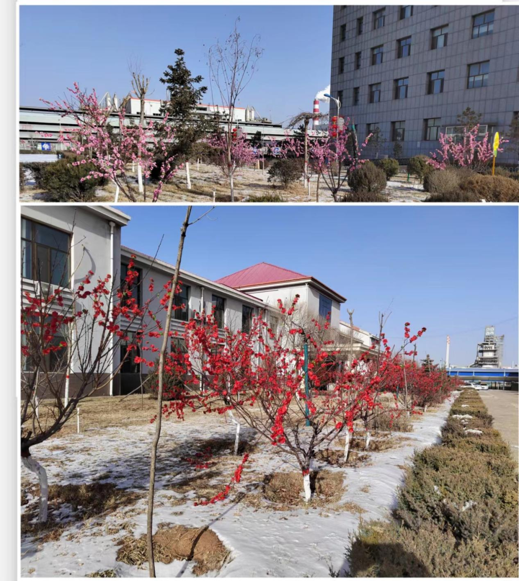 1674872151431042.png 微信圖片_20230128101308.png