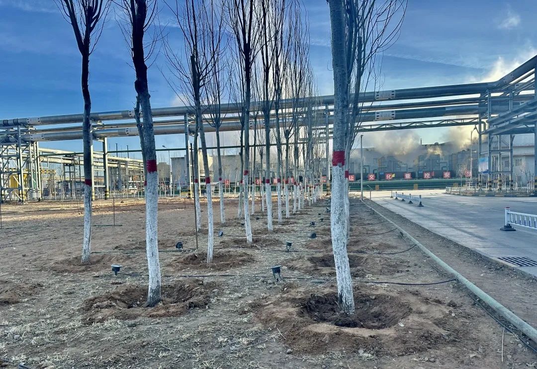 1678936692113179.jpg 微信圖片_20230316111743.jpg