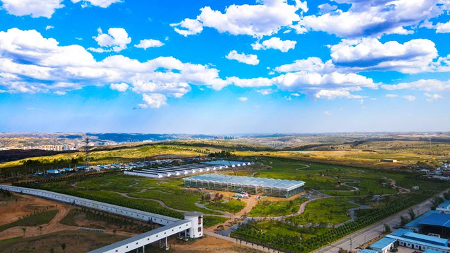 紅柳林礦業立體生態修復示范園