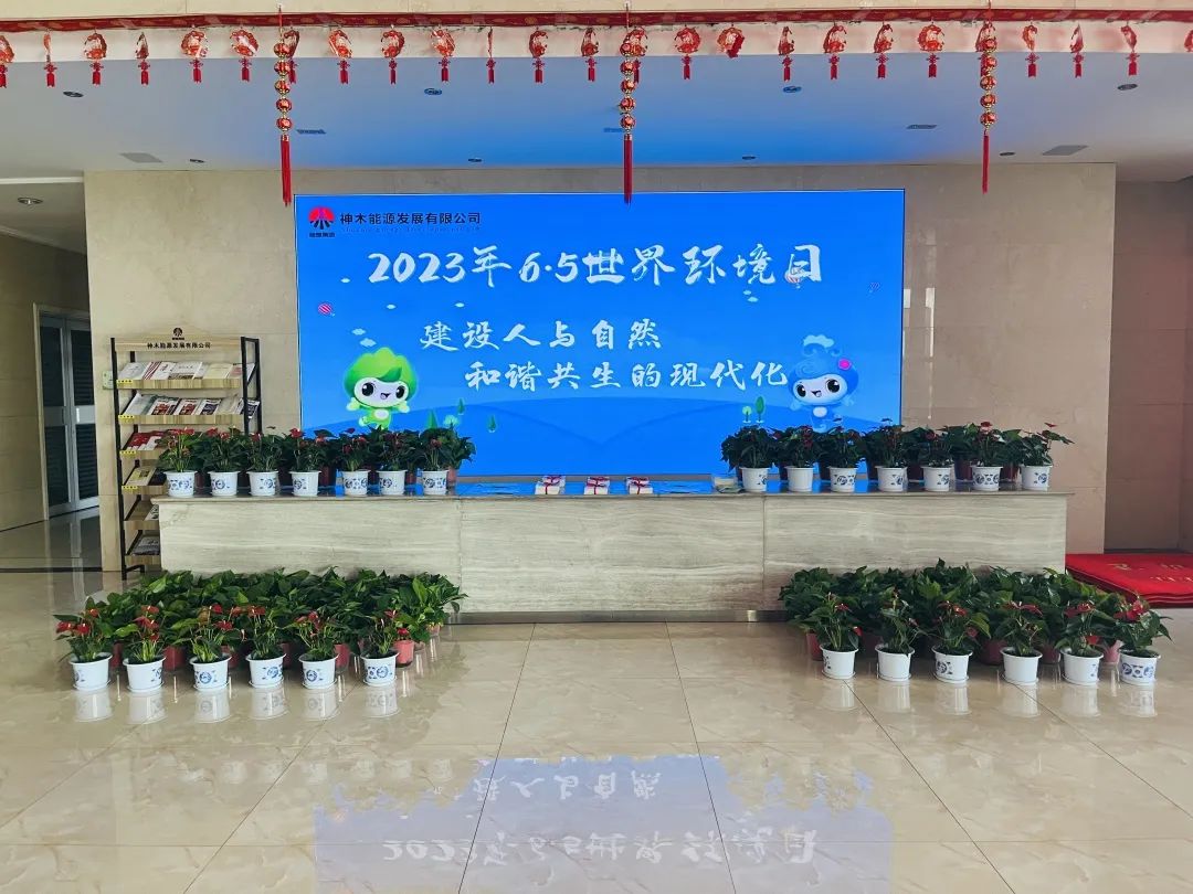 1686010603445257.jpg 640 (3).jpg