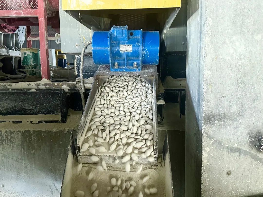 1686269499937522.jpg 640 (1).jpg