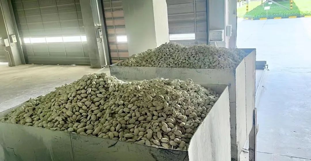 1686269506352323.jpg 640 (2).jpg