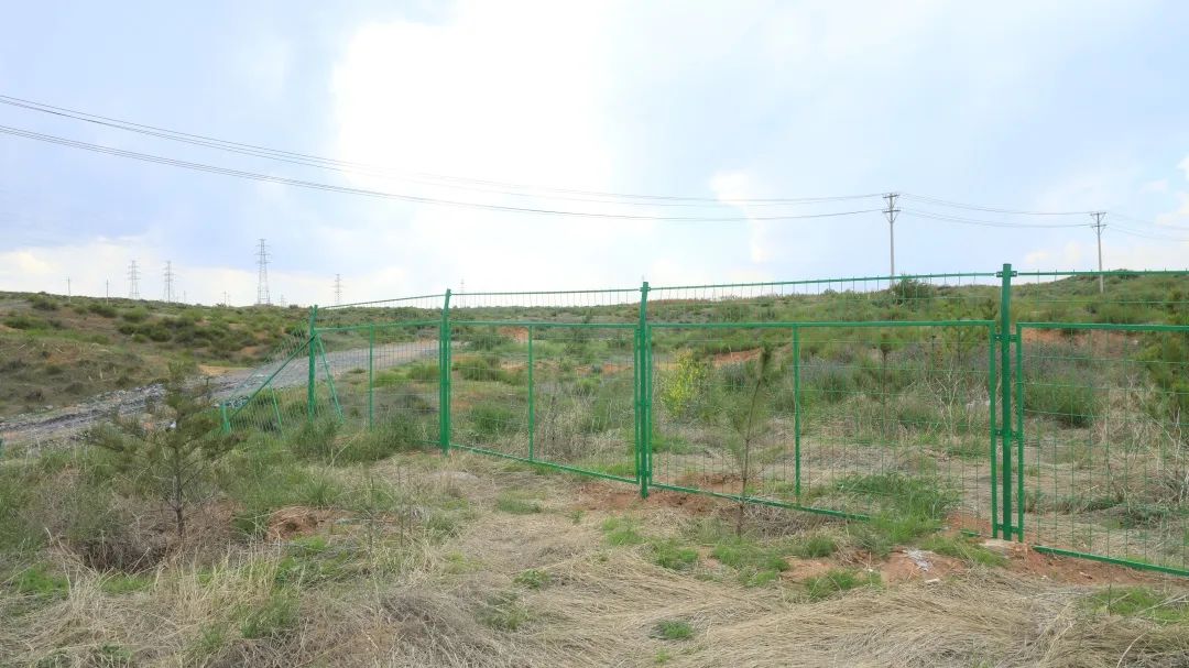 1687913356937076.jpg 640 (14).jpg