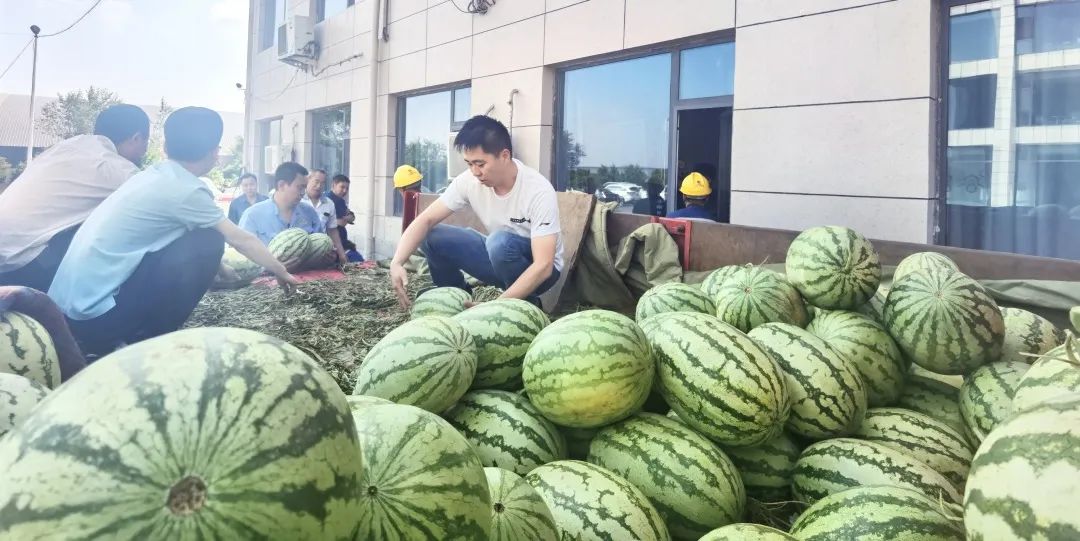 1690848883359039.jpg 640 (5).jpg