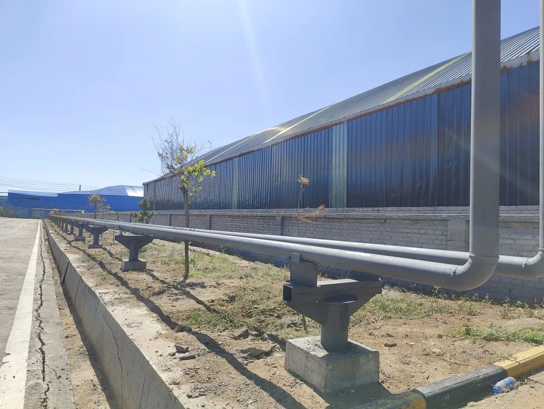 1692749385982018.jpg 640.jpg