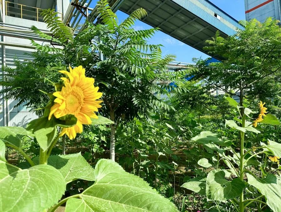 1706758610102256.jpg 640 (6).jpg