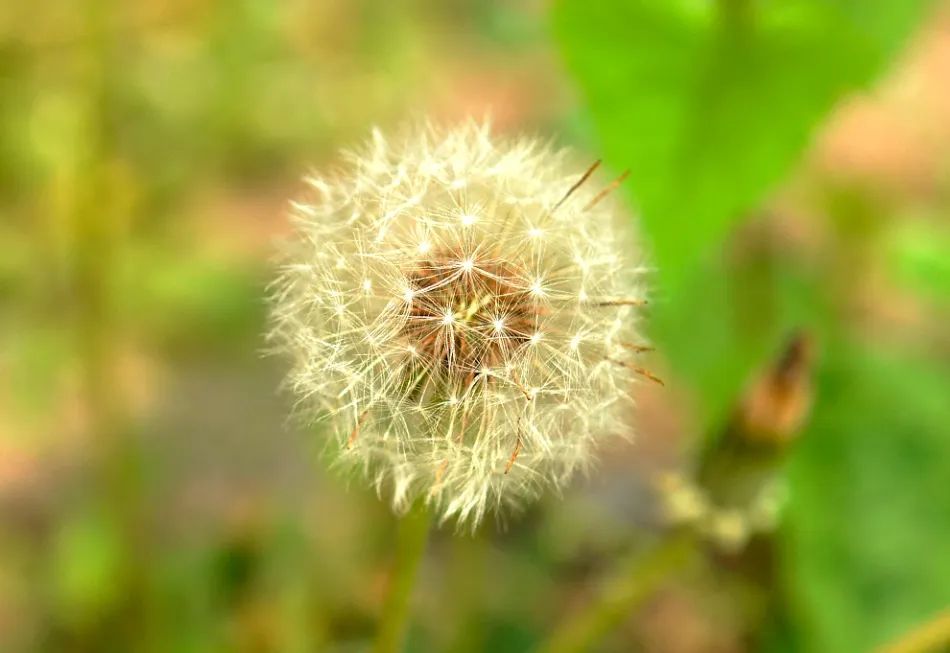 1722660933269508.jpg 微信圖片_20240803124059.jpg