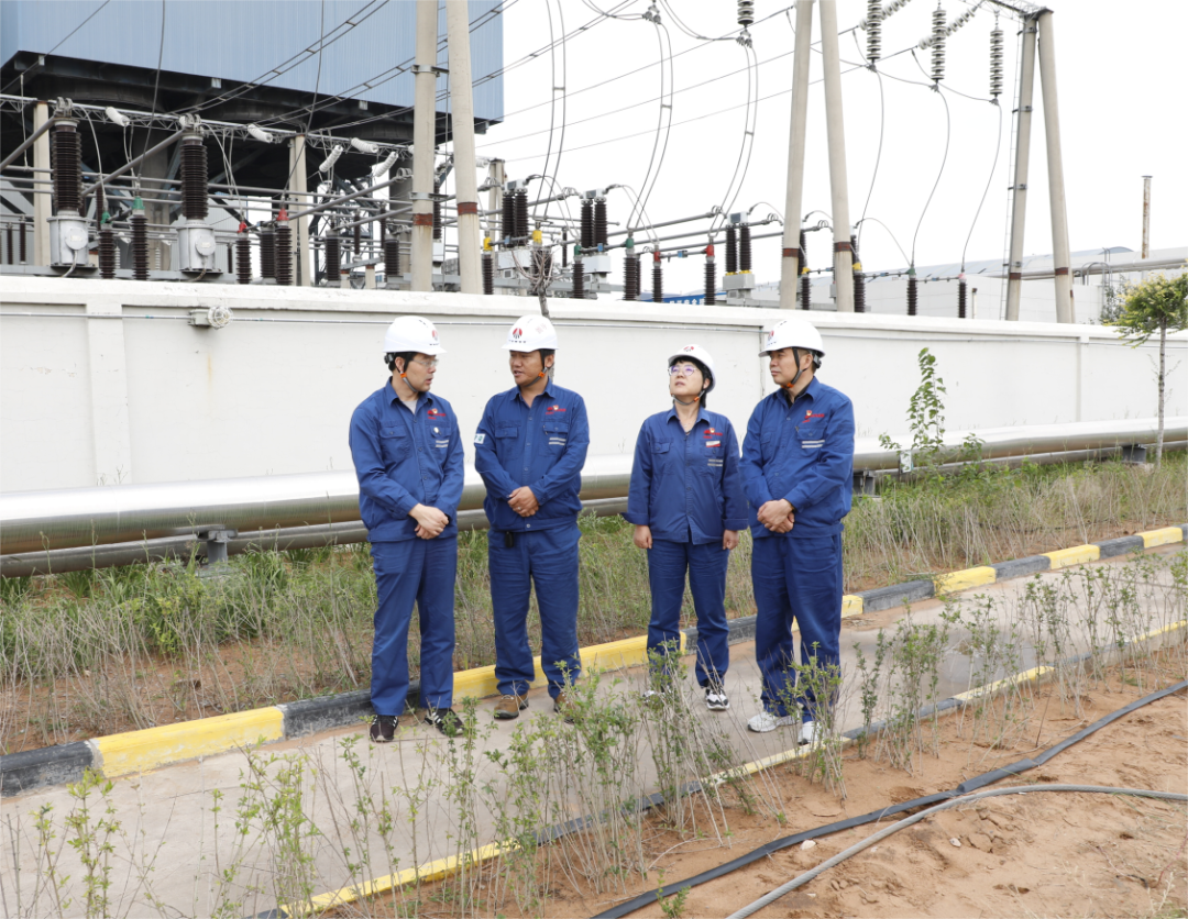 1725929588136367.png 640.png