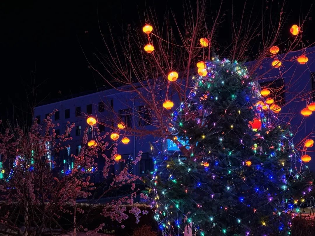 1737419352506785.jpg 640 (13).jpg