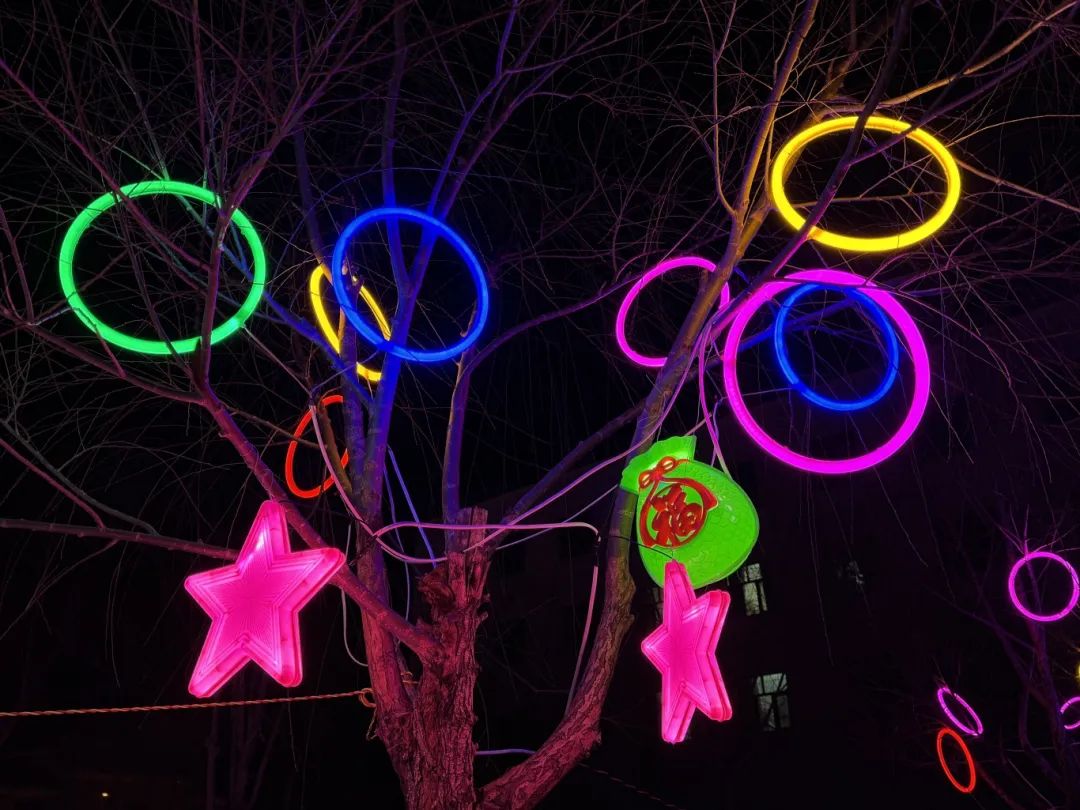 1737419363722675.jpg 640 (14).jpg