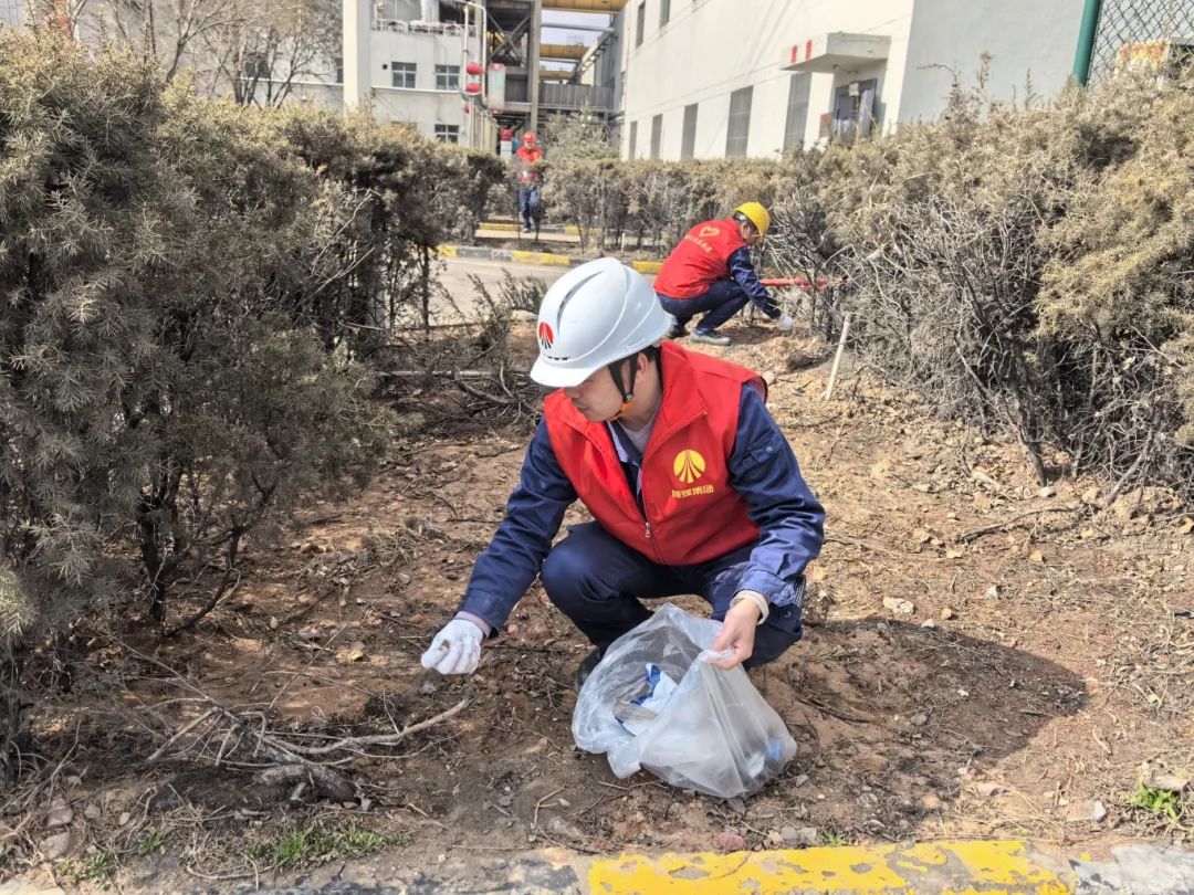 1741568786957758.jpg 640 (3).jpg