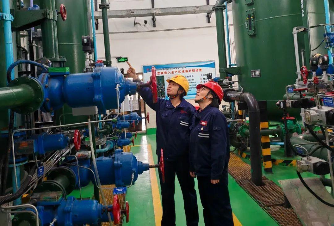 1742258340372138.jpg small.jpg