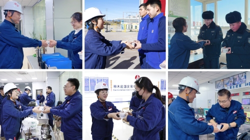 1742258681120768.jpg small (2).jpg