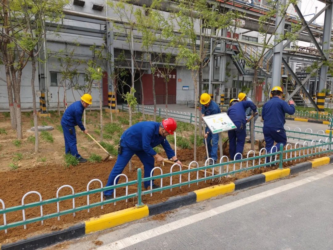 1746577036819325.jpg 640 (2).jpg