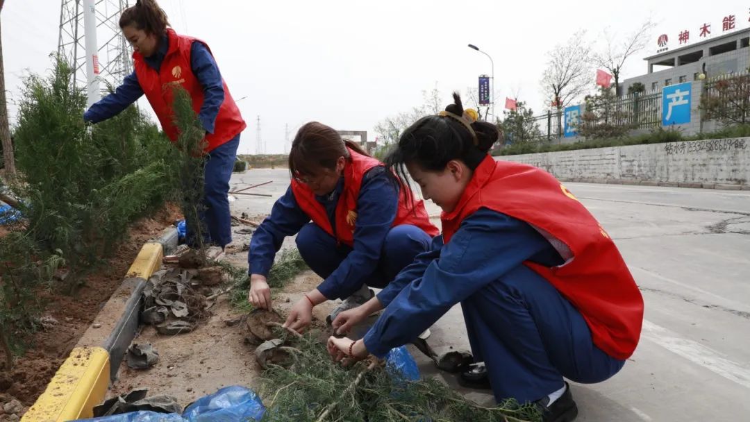 1746749296111387.jpg 微信圖片_20250509080342.jpg