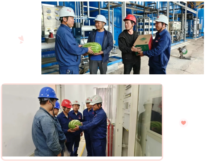 1749775018133398.png 2.png