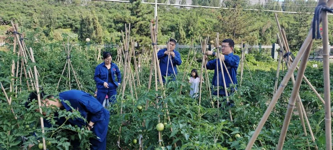 1754009192926388.jpg 3.2.jpg