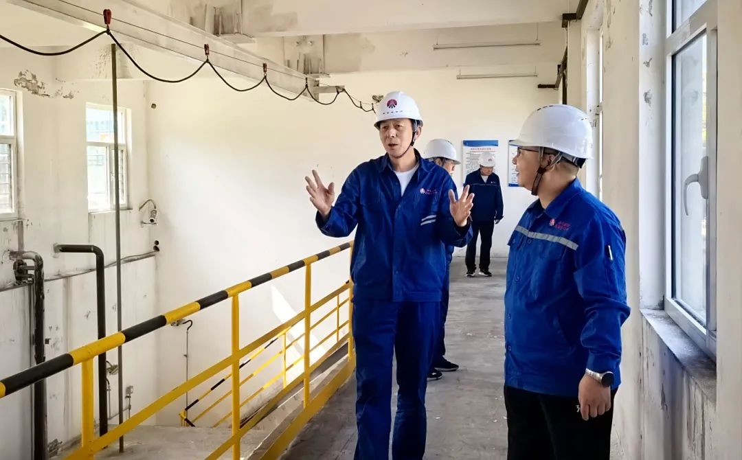 1755216921469476.jpg 5.jpg