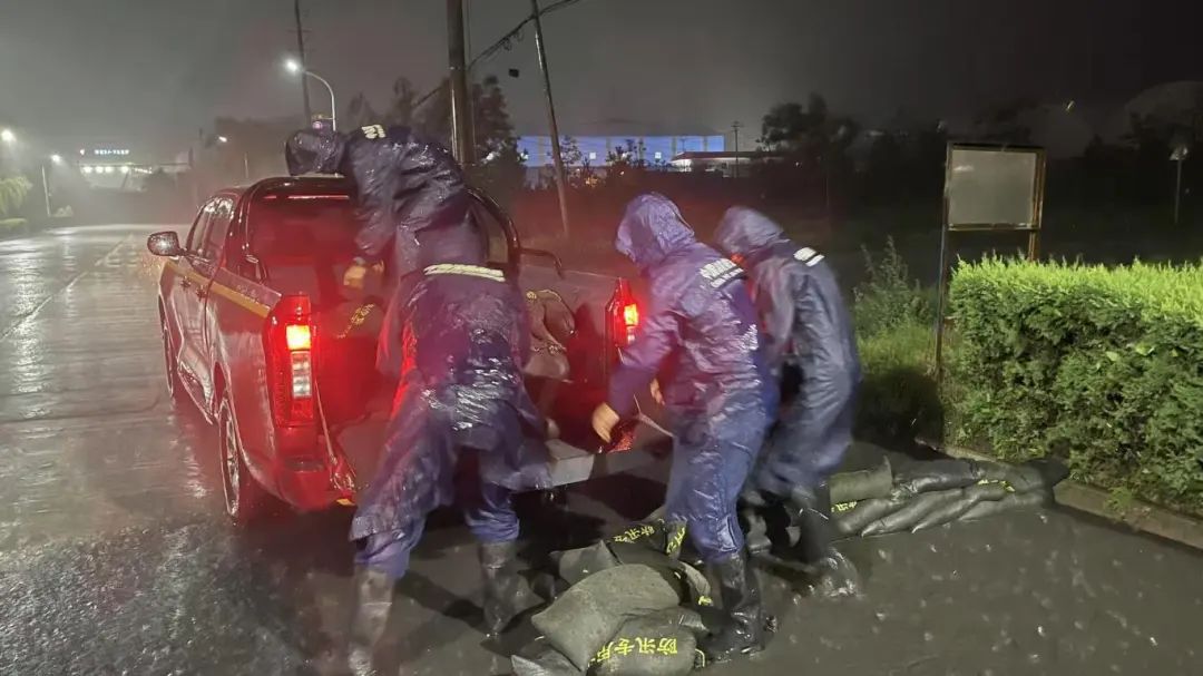 1755562853140675.jpg 2.2.jpg