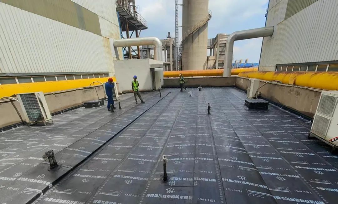 1755562975118113.jpg 3.jpg