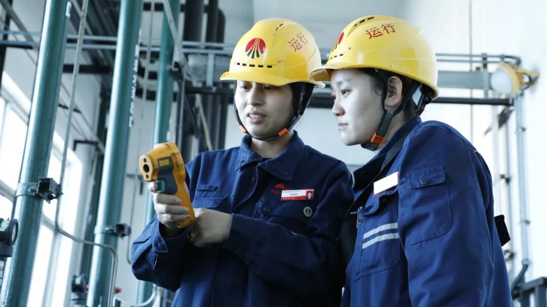 1757376513201087.jpg 3.jpg