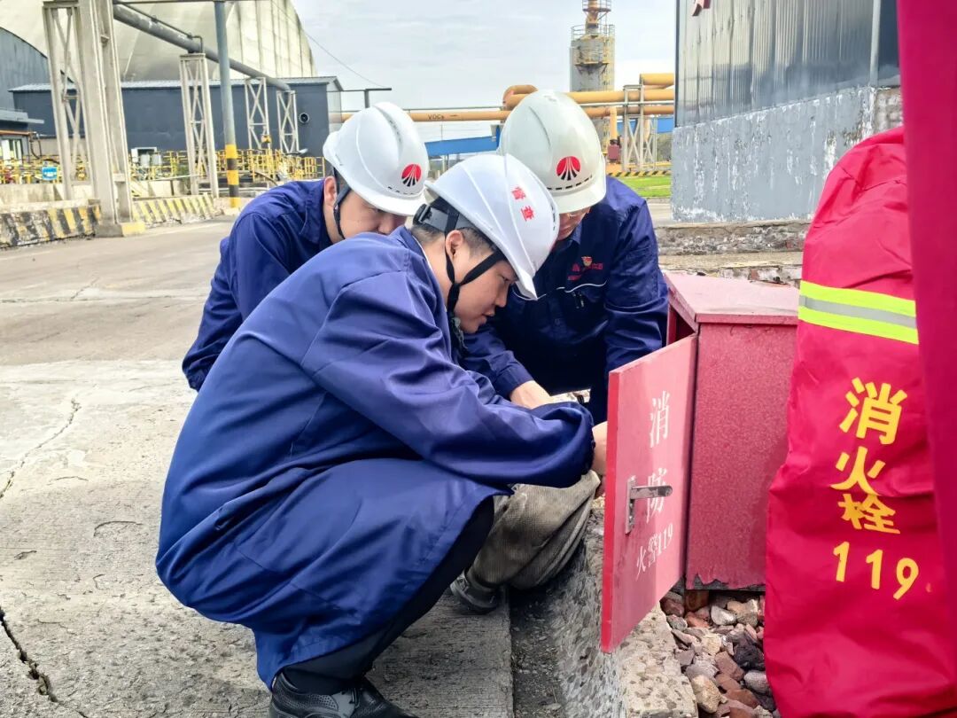 1759018856993818.jpg 1.1.jpg