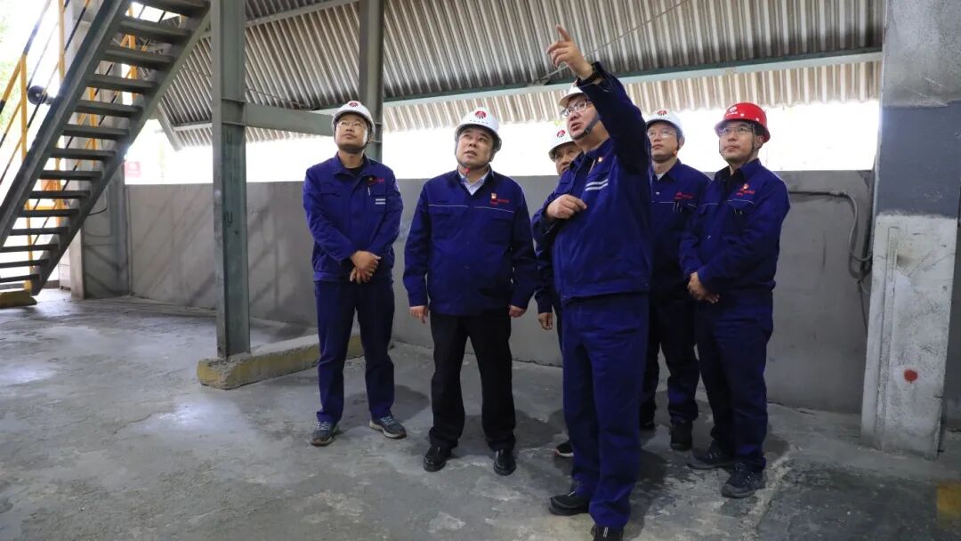 1760055852747892.jpg 2.jpg